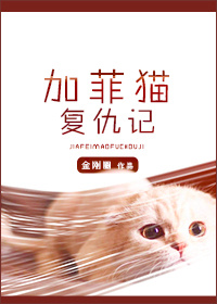 加菲猫复仇记小说免费阅读封面