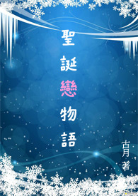 聖誕戀物語小说封面